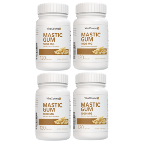 PipingRock 2개세트 매스틱 검 1000mg 120정 Mastic Gum 120 tablets, 4개