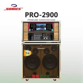 소닉스 PRO-2900 노래방이동식케이스 400W SD, PRO-2900/소닉스(S)/400W