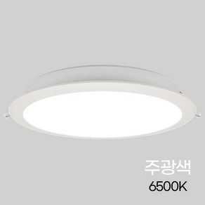 비츠온 다운라이트 LED 슬림8인치 40W 주광색, 단품