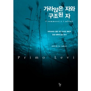 가라앉은 자와 구조된 자:아우슈비츠 생존 작가 프리모 레비가 인생 최후에 남긴 유서, 돌베개, 프리모 레비