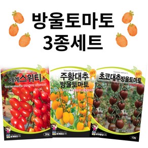 방울토마토 씨앗 3종 세트 / 주황 빨강 초코 대추 방울 토마토 종자 씨, 1개