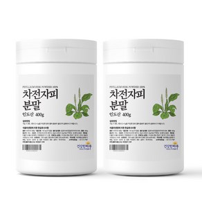 헬스앤푸드 인도산 차전자피(질경이껍질) 분말 100% 400g