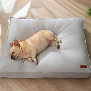 [H10201]고양이 강아지 프리미엄 사계절 컴포트 방석 쿠션 반려동물 오염방지 펫방석, 그레이, 1개