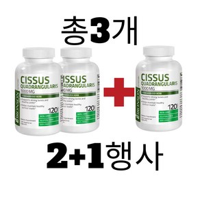 Bonson 브론슨 (2+1행사) Cissus 시서스 가루 고농축 캡슐 다이어트 보조제 3병 360캡슐, 120정, 3개