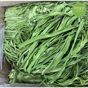 [고급 식감]궁채 건궁채 마른줄기상추, 1개, 1kg