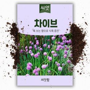 차이브 씨앗(400립) 허브씨앗