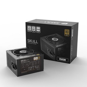 NEWZEN SKULL 750SM 모듈러 ATX3.1 80PLUS 골드 파워 블랙 (ATX 750W), 1개, 선택하세요