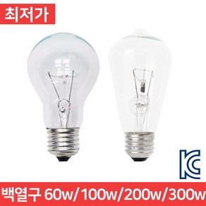 백열구 백열등 램프 전구 60w 100w 300w 백열램프 백열전구