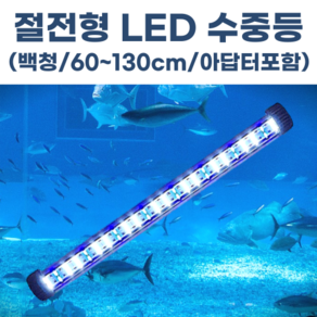 수족관 횟집 LED 수중등 2줄배열 수중엘이디 어항 활어 방수 조명(백/청 아답터포함), 1개