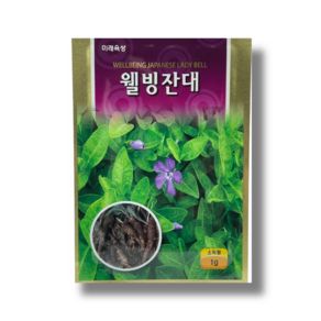 잔대 씨앗 종자 웰빙잔대1g / 딱주 사삼 토종약초, 1개