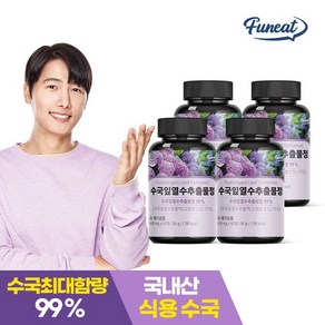 퍼니트 수국잎열수추출물정 60정 4병 8개월분, 600mg, 4개