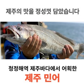 [제주어부] 100% 제주 민어 특대 <한정특가>, 2마리(800g이상), 1개