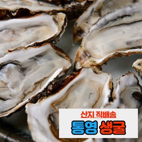 내고향농수산 통영 제철 생굴 석화 각굴 하프셀 1kg 5kg 10kg, 생굴(500g), 1개, 500