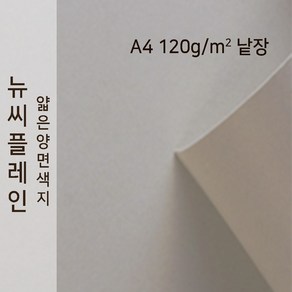 뉴씨플레인 종이문화 얇은 양면색지 120g A4 낱장 1매 No.54 백옥색