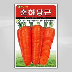 슬로시 김장채소 씨앗 종자 배추 무 갓 양파 시금치 알타리 당근 대파, 1개