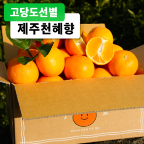 당도선별 천혜향 가정용, 1박스, 2kg