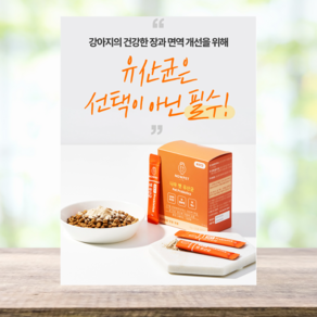 고양이 강아지 펫유산균 반려동물 영양제 변비 설사 아기강아지 대형견용, 30개