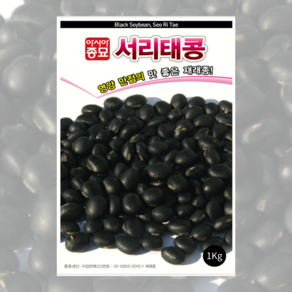 서리태콩 씨앗 1kg [25년포장] 속청콩종자, 1개