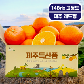 최고당도 제주 레드향 청정제주 레드향, 1박스, 5kg