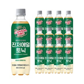 캐나다드라이 진저엘 450ml, 12개