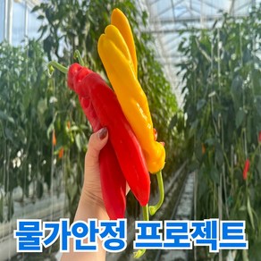 일등농수산 특품 롱 스위트 팔레르모 파프리카, 1개, 5kg