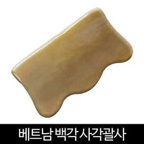 발롱뷰티 물소뿔 백각괄사 괄사, 1개, 백각네모괄사