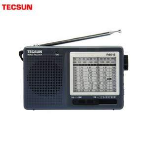 [adio]TECSUN R-9012 휴대용 포켓 스타일 고감도 라디오 수신기 FM AM SW 12 밴드, [01] Gay, Gay