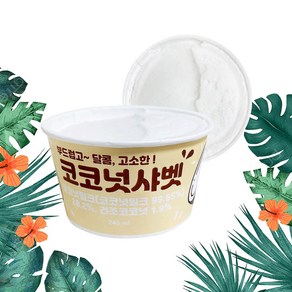 지케이푸드 코코넛 샤벳 240ml 아이스크림 샤베트(드라이), 1개