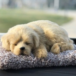 리얼펫 강아지 고양이 공기정화 탈취 제습인형