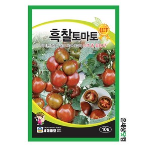 흑찰토마토 10립 / 과일 채소 이색토마토 텃밭 씨앗 종자, 1개