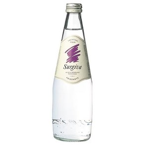 수르기바 프리미엄 탄산수 유리병, 500ml X 20개입, 1개, 500ml