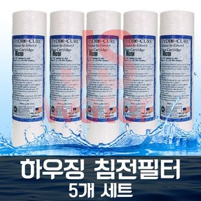 미제 하이드로큐어디럭스세디멘트 하우징필터 5개1셋트, 5개