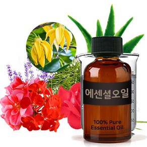 엔피솝 BEST 에센셜오일 모음 30ml(라벤더 레몬 티트리 로즈마리 일랑일랑 유칼립투스) 비누만들기 화장품만들기