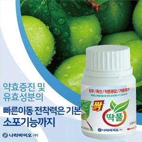 [식물나라스토어] 모두싹 500g 1kg 프리미엄 골드 칼마 아미플 균 규산왕 싹충 싹충골드 딱풀 나라바이오 사은품상추씨앗 약수저