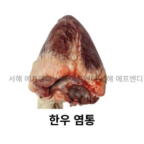 염통