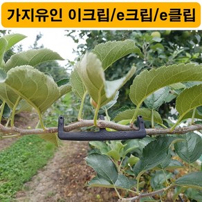 한누리팜마트 다인산업 가지유인 이크립 5cm 500개 e크립 e클립, 1개