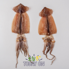 [오늘온] 통영 반건조 오징어 쫄깃쫄깃 캠핑간식 국내산 원양산 피데기, 1개, 중) 1kg 내외 (10미)