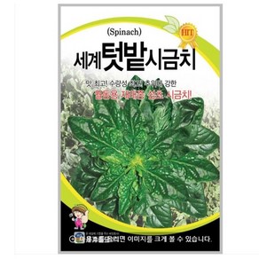 세계텃밭시금치 400g / 섬초 월동 종자 씨앗 채소 나물 텃밭 대포장, 1개