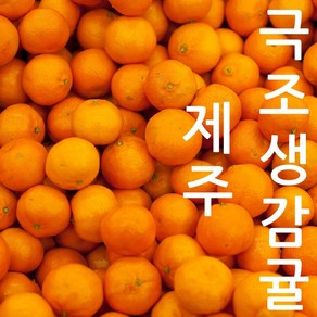 제주 극조생감귤 국내산 감귤 국산 귤 겨울대표과일 감귤, 1박스, 대과(L-2L) 1kg