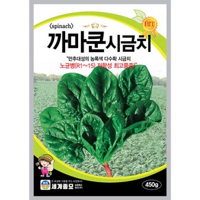 까마쿤시금치 450g 채소 씨앗 세계, 1개