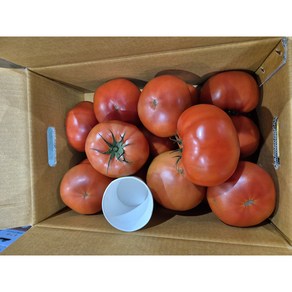 길룡이네 정품 찰토마토 (3-4번과)5kg 10kg, 1박스, (5번과) 5kg