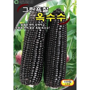 (씨앗) 흑찰옥수수 - 자루가 크고 맛이 좋은 검은 찰옥수수 씨앗 종자 - 100립, 1개