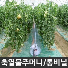 축열 물주머니 축열비닐 통비닐 0.15mm x 30cm x 100m, 축열비닐 0.15mm x 30cm x 100m, 1개