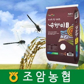2024년햅쌀/수향미/쌀10Kg/20kg(10kg x 2개)/화성시브랜드쌀/조암농협쌀/경기도지사인증쌀/ GAP인증, 1개, 10kg, 상등급