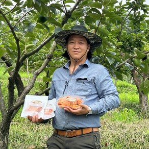 큰집농원 국대 감말랭이 300g 400g 곶감 대봉 감말랭이 생산자 직판, 1개