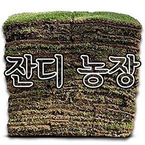 (착불)천연잔디 60cm40cm 200장 / 롤잔디.파렛트잔디, 200개