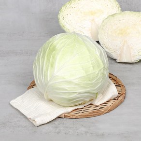 산지직송 국내산 아삭아삭 단단한 양배추, 2개, 1.5kg