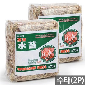 세인화분 뉴질랜드 칠레 수태 75g 150g - 천연수태 석부작 재료 풍란 토피어리 이끼 몬스테라 수태봉 고급 난 분재 화분 목부작 분경, 2개