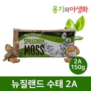 옹기와야생화 뉴질랜드 수태 2A 150g, 뉴질랜드수태  2A 75g, 1개