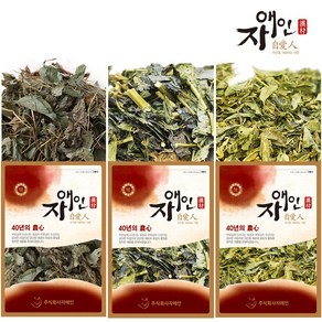 자애인 국산 어성초 300g + 자소엽 150g + 녹차 150g (세트), 600g, 1개